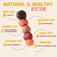 thumbnail image 4 of ASMPET Kabobs for Dog, Chicken Duck Rabbit Beef and Salmon Dog Treats for Small Medium Large Breed, 10.6oz, 4 of 9