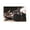 Unframe-style, variant on Japanese Comedy Anime Girls Und Panzer Poster Room Aesthetic Poster Print Art Wall Painting Canvas Posters Gifts Modern Bedroom Decor 12x18inch(30x45cm)