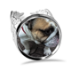 thumbnail image 1 of Bulldog mascota animal fotografia fotos Anillo de compromiso de boda de amor ajustable Unbranded M, 1 of 3
