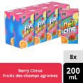 thumbnail image 1 of Five Alive Berry Citrus Cartons, 200 mL, 8 Pack, 1 of 6