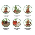 thumbnail image 6 of Planting Grow Rings, Round 7 inch, Perfect for Deep Watering Veggies Herbs and Flowers, Protection and Edging of Garden Plants, Red, Made in The USA - Pack of 4, 6 of 9