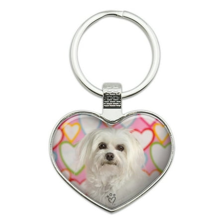 Maltese Keychain - Maltese Puppy Dog Hearts Love Heart Love Metal Keychain Key Chain Ring