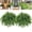 38leaves, variant on Premium UV Resistant Lifelike Artificial Boston Fern, Artificial Plants for Outdoor Planter Large, 38/60/88 Leaves Artificial Ferns for Outdoors Indoor Home Garden Porch Decor