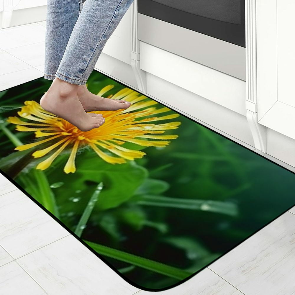 Heduofu Decorative Door Mat, Door Mat with Non-Slip Rubber Backing, Easy Cleaning, Traps Dirt, Rug for Entry, Patio, Garage  - Flower Blossom Bloom Plant Close Spring 19.68*47.24 in