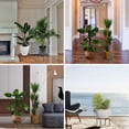 thumbnail image 6 of INCTUO 3 Pack Metal Plant Stand,Heavy Duty Plant Stands for Outdoor Rustproof Carved Indoor Plant Holders 100Ib Flowerpot for Garden Patio Decor, 6 of 10