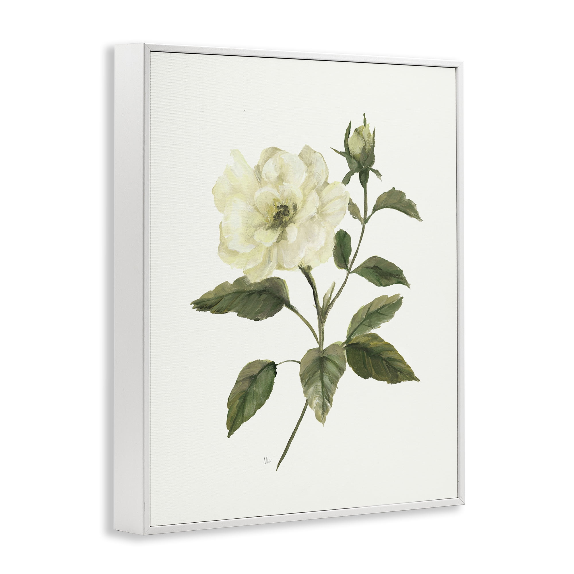 Stupell Industries Ivory Rose Bloom With Green Foliage White Framed Giclee Art, design by Nan