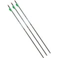 thumbnail image 1 of Barnett Vortex Carbon Youth Arrows w/ Inserts - 3 Pack, 1 of 10