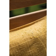 (2 pack) Scotchgard UV Water & Sun Shield Fabric Protective Spray, 10.5 oz., 1 Can