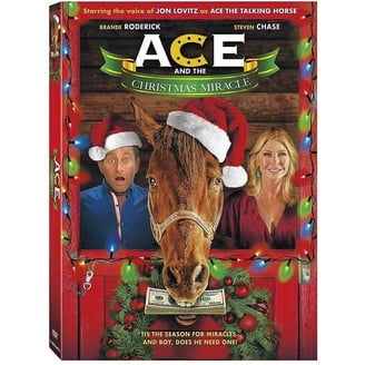 DreamWorks Spirit Riding Free: Spirit of Christmas (DVD) - Walmart.com