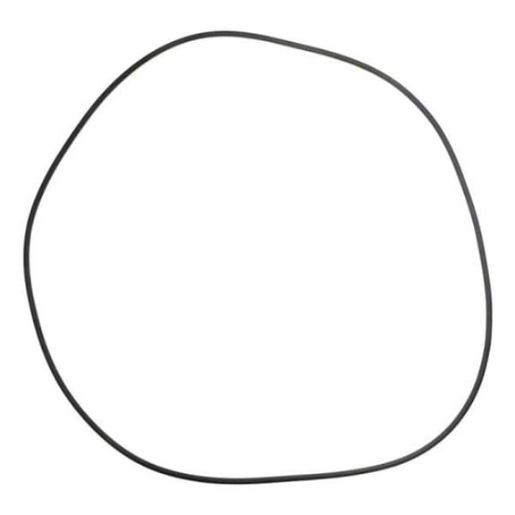 Swimquip 24 in. Tank O-Ring