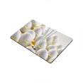thumbnail image 2 of RYLABLUE Tapis de Sol Intérieur Extérieur Oeuf 30x18 Pouces, 2 of 2