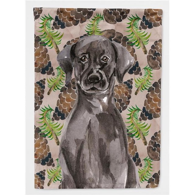 Carolines Treasures BB9573GF Cornes de Pin Labrador Noir Drapeau Jardin Taille