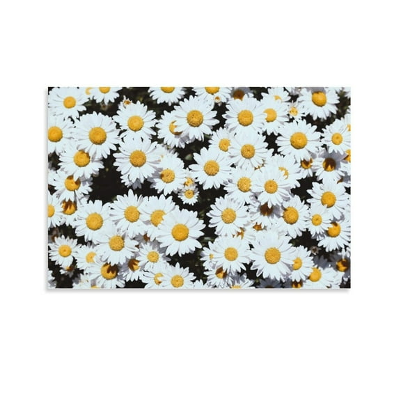White Daisy Flowers Canvas Art Poster And Wall Art Picture Print Modern Family Bedroom Decor Posters,Unframe-style,16x24inch(40x60cm)