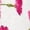White, variant on CeCe womens Flower Printed Pullover, l, White