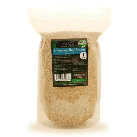 Creeping Red Fescue Seed by Eretz 1lb - CHOOSE SIZE! Willamette Valley Oregon Grown No Fillers No Weed or Other Crop Seeds Premium Shade Grass Seed.