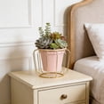 thumbnail image 4 of Jardinera hidropónica con soporte metálico para botellas de vino – Terrario de plantas de escritorio de hierro para decoración del hogar, verde rosa, 4 of 6