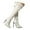 White, variant on Women's Pointed Toe Stiletto Over-the-Knee Boots - Stylish High Heel Long Boots for Cocktail Party, Prom & Carnival | Elegant Evening Footwear