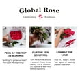 thumbnail image 4 of One Dozen Orange Roses- Fresh Flower Delivery, 4 of 4