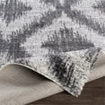 thumbnail image 5 of Aliyah shag ALH-2310 6'7" x 9' Rug in Light Gray/Cream/Medium Gray/Charcoal, 5 of 7