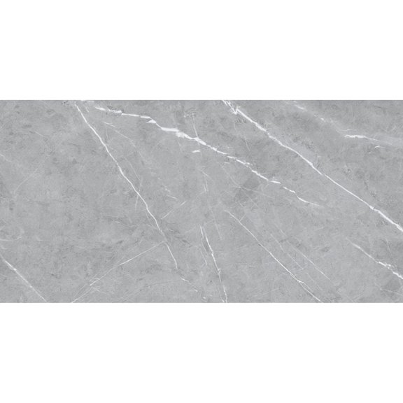 The Tile Life Chaplin Gray Matte Porcelain Floor & Wall Tile, 12x24 in, 8-Piece