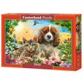 thumbnail image 1 of Castorland Best Pals 500 Piece Jigsaw Puzzle, 1 of 1