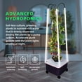 thumbnail image 5 of Hydroponic Growing Unit, Perfect for Fruits & Vegetables, Built-in Grow Light, Simple Setup, Effortless Upkeep, 5 of 6