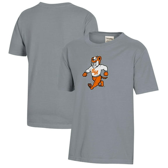 Youth Gray Sam Houston State Bearkats Logo Comfort Wash T-Shirt