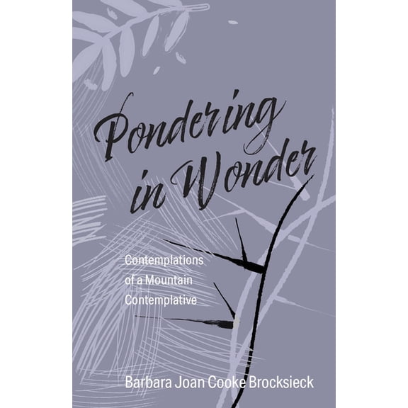 Pondering in Wonder: Contemplations of a Mountain Contemplative, (Paperback)