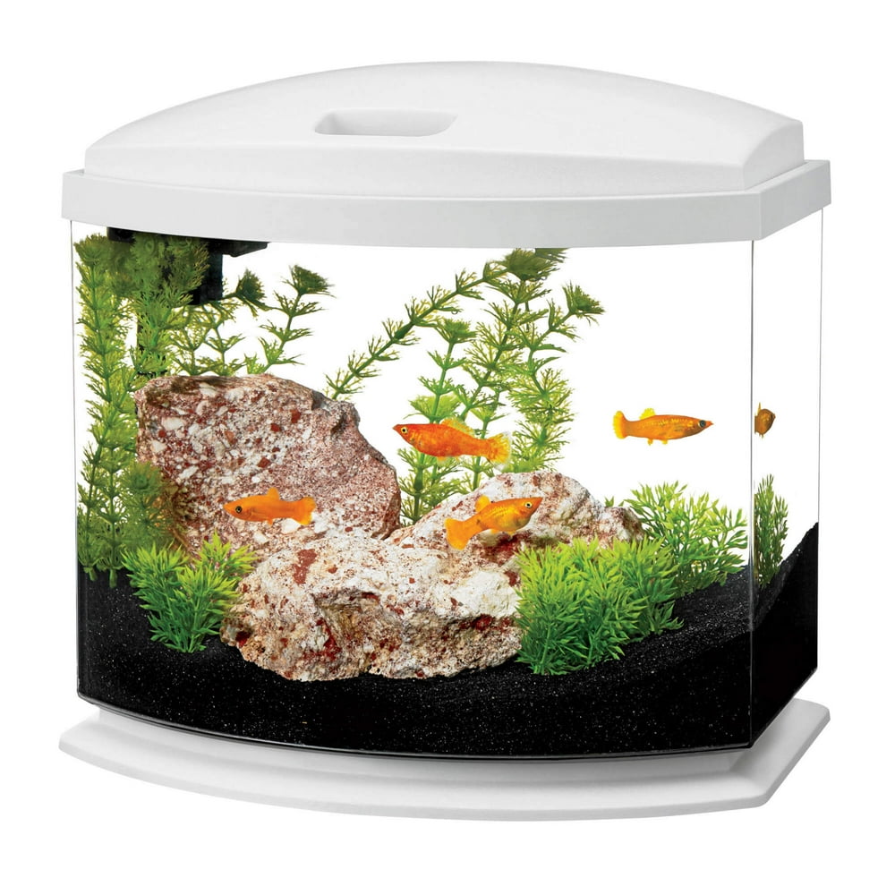 aqueon-minibow-aquarium-led-starter-kit-5-gallon-white-walmart