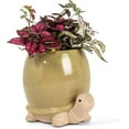 thumbnail image 2 of Abbott Collection 27-CRITTER-188 Tall Turtle Planter, Green, 2 of 3