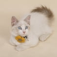 thumbnail image 3 of Flower Cat Collar Cute Adjustable Small Dog Collar Kitten Collar with Bell, 3 of 6