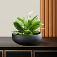 thumbnail image 6 of Lotus Bowl Planter Round Lotus Bowl Glass Lotus Flower Bowl Lotus Bowls For Planting In Water Indoors Applicable To Bonsai Bowl Lotus Flower Hydroponic Plant Bowl Lotus Seeds Lotus Bowl Planter, 6 of 7
