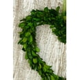 thumbnail image 2 of 6 Pieces of Boxwood Wreath Heart Preserved 9 inches, 2 of 3