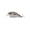 Green Gizzard Shad, variant on Duckett Fishing Squarebill Crankbait, Shallow Water Bass Lure with Aggressive Action and Deflections, Green Gizzard Shad, 1.5 oz