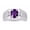 Amethyst, variant on Men's Rings Sterling Silver Rings Classic Designer  9X7MM Oval Gemstone &  Diamond Ring Amethyst February Birthstone Ring Size 10