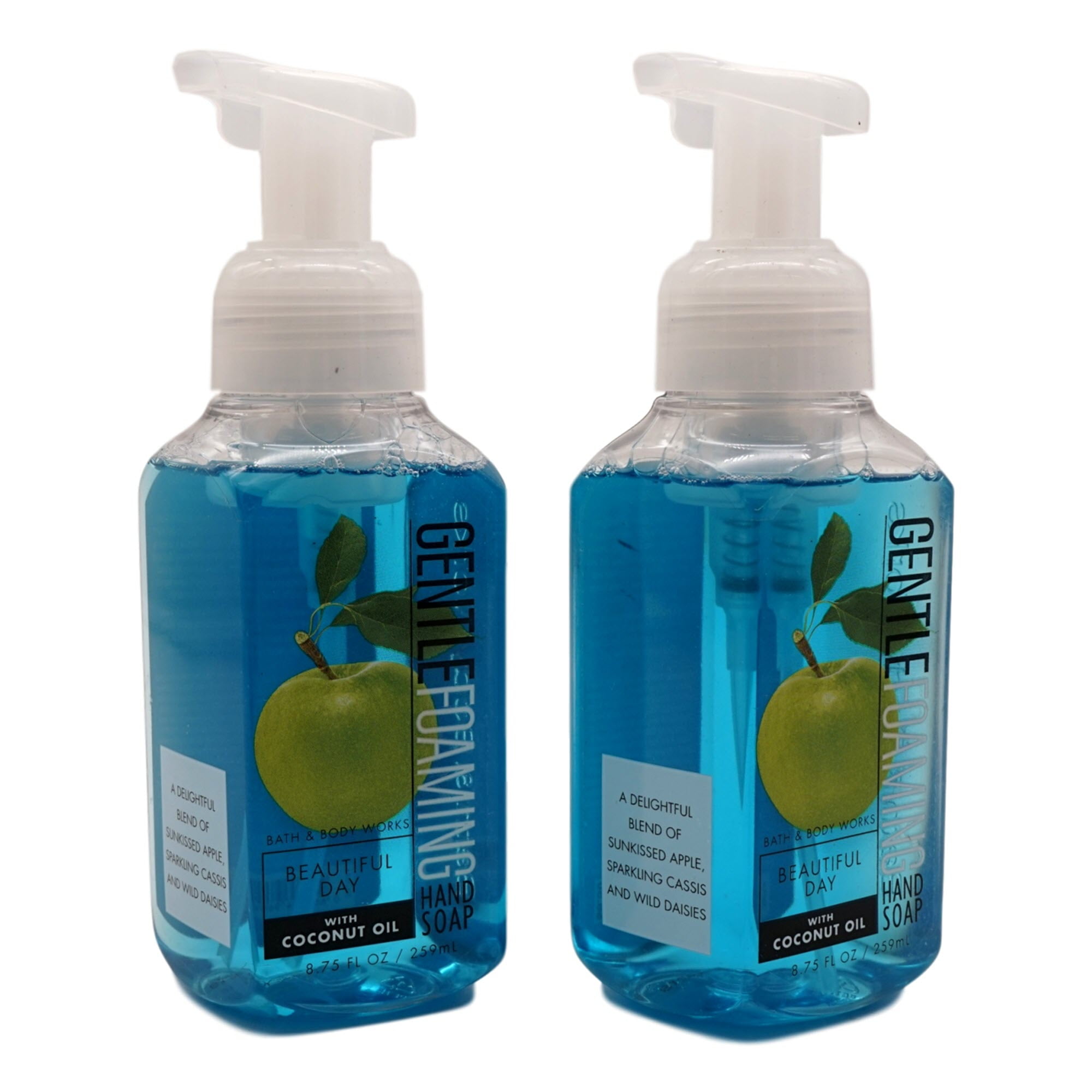 Beautiful Day Gentle Foaming Hand Soap (2 Pack, 8.75 oz each)