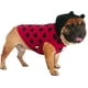 thumbnail image 2 of iChoue Daily Wear Mariquita Sudaderas con capucha, lindos disfraces de perro para Halloween Navidad, trajes para perros medianos, sudaderas sin mangas, ropa para Bulldog Francés Inglés Pug Pitbull - N, 2 of 4