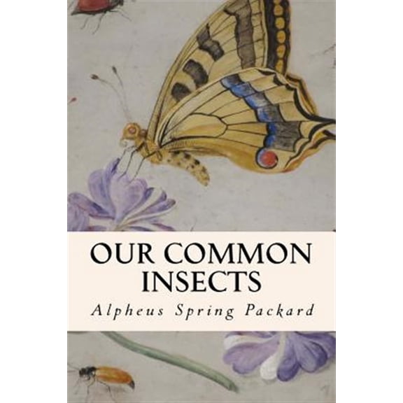 Pre-Owned Our Common Insects