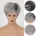 thumbnail image 3 of TG Gradient Silver Gray Short Wig, Synthetic Wig for Women, 3 of 4