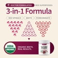 thumbnail image 6 of Snap Supplements Beet Root Nitric Oxide Powder - Blood Pressure & Cardio Health Support, Energy Boost, Original, 6 of 11