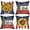 Sunflower, variant on Happy 4th of July Patriotic Decorative Throw Pillow Covers 18 x 18 Set of 4, Cartoon Mouse America The Beautiful EST. 1776 Cushion Case Decor, Red Blue Firework American USA Home Decoration