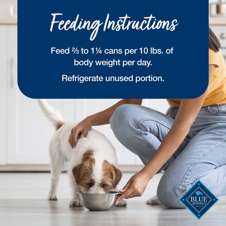 automatic dog feeder wet food UBPet Smart Pet Feeder F21