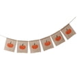 thumbnail image 3 of Calabaza rústica impresa Acción de gracias Decoración Accesorios para fotografía Yotijar Pumpkin Bunting Banner, 3 of 9