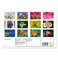 thumbnail image 2 of Garden flowers (Monthly Wall Calendar 2026 11.7 x 16.5 (open)), CALVENDO 14 Month Calendar, 2 of 9