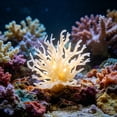 thumbnail image 4 of BingTong Artificial Corals For Aquarium Decoration, Lifelike Simulated Coral Decor,Realistic Small Reef Ornaments For Fish Tank, Beach Theme Room Decoration B-Beige, 4 of 6