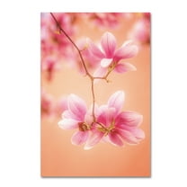 Trademark Fine Art 'Melodies Of Spring' Canvas Art by Philippe Sainte-Laudy