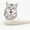 White, variant on ReTeiv Pet Supplies Cat Fish Shape Toothbrush With Catnip, Silicone Molar Stick Catnip Toys, Chew Teeth Cleaning Toy For Cats Kitty