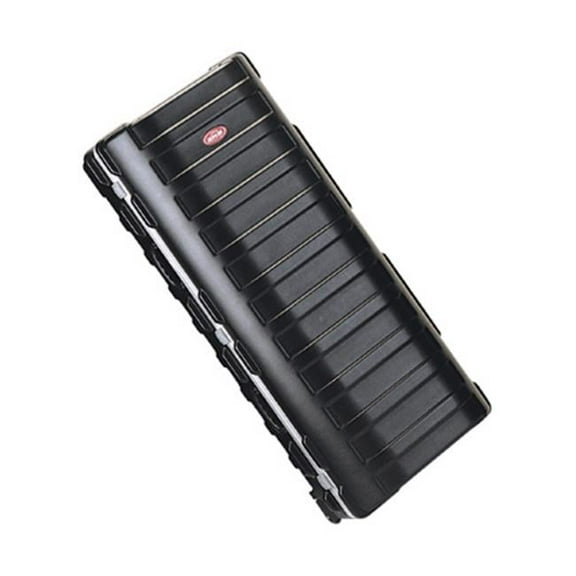 SKB  Double Ata Travel Case