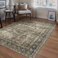 thumbnail image 1 of BERTHMEER 3'x5' Small Area Rugs for Entryway Office indoor Washable Rugs Traditional Oriental Rugs Non-slip, Brown, 1 of 7