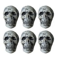 thumbnail image 1 of 6 Pcs/Set Halloween Skull Ornament Artificial Realistic Increase Atmosphere Durable Clear Texture Decorative Skeleton Horror Halloween Skull Statue for Home, 1 of 9